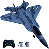 HAWK'S WORK 2 CH RC Airplane, F-22 Plane Ready to Fly, 2.4GHz Remote Control, Easy to Fly RC Glider for Kids & Beginners