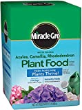 Miracle-Gro 1000701 Pound (Fertilizer for Acid Loving Plant Food for Azaleas, Camellias, and Rhododendrons, 1.5, 1.5 lb
