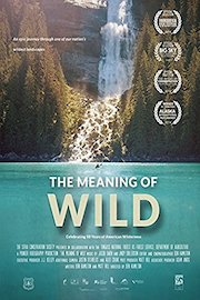The Meaning of Wild