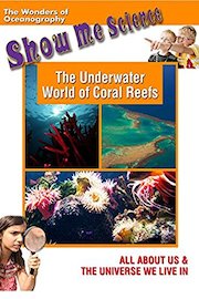 The Underwater World of Coral Reefs
