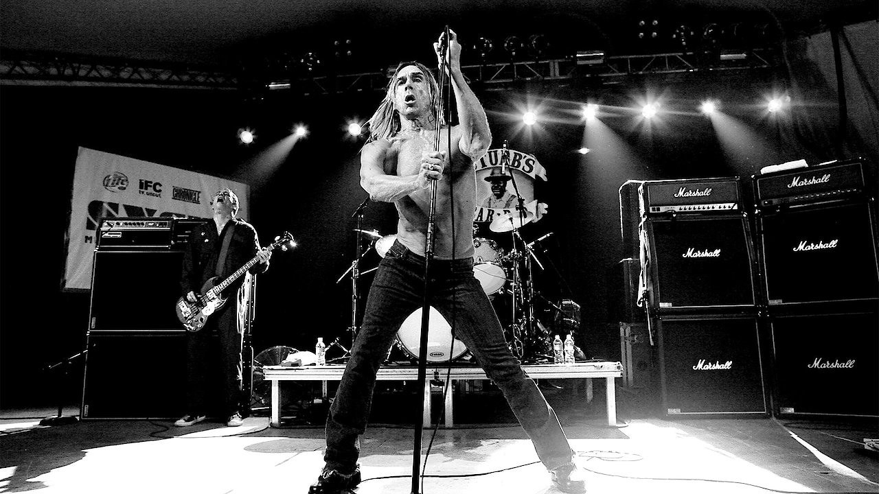 Iggy & the Stooges - Live in Detroit