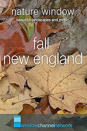 Fall New England, Nature Window
