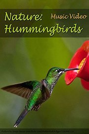 Nature: Hummingbirds