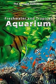 Freshwater and Tropical Aquarium