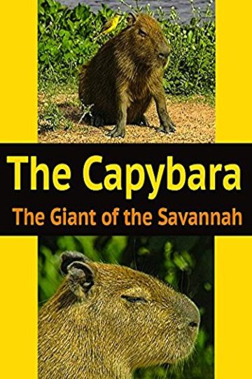 Watch The Capybara: The Giant of the Savannah Online | Movie | Yidio