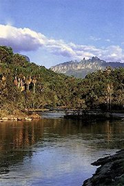 Deep into Canaima / A los pies de Canaima