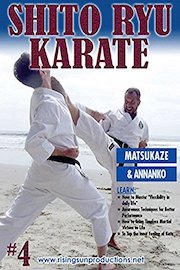 Shito Ryu Karate #4