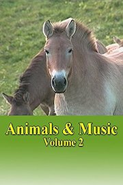 Animals and Music Volume 2