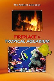 Fireplace and Tropical