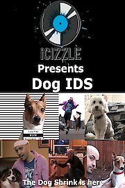 ICIZZLE Presents Dog IDS