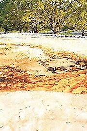 Clark Toxic Aftermath