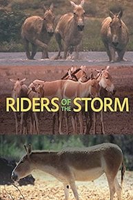 Riders of the Storm