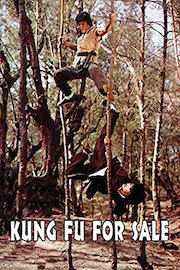 Kung Fu For Sale