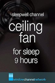 Ceiling Fan for sleep 9 hours