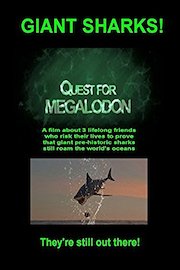 Quest for Megalodon