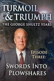 Turmoil & Triumph - Swords into Plowshares