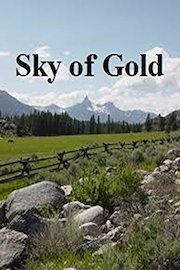 Sky of Gold
