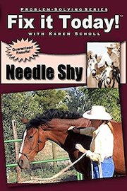 Fix it Today! Needle Shy
