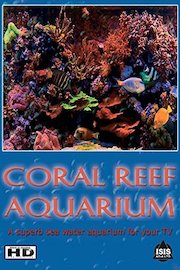 Aquarium Video - Coral Reef Aquarium of HD Fishtanks with music and Nature Sounds