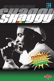 Shaggy - Live At Chiemsee Reggae Summer - 1998