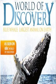 World Of Discovery - Blue Whale: Largest Animal on Earth
