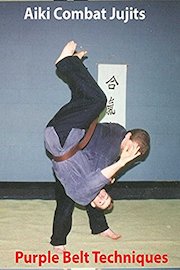 Aiki Combat Purple Belt