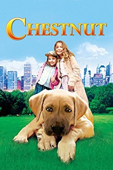 Watch Chestnut Online | 2004 Movie | Yidio
