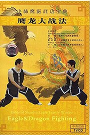 Eagle vs Dragon Kung Fu