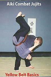 Aiki Combat Yellow Belt Basics