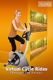 Virtual Cycle Rides- Through The Forest