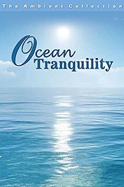 Ocean Tranquility with Relaxing Scenes from Beaches with Sea Sounds