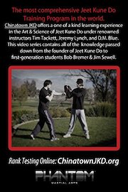 Jeet Kune Do: Famous Techniques