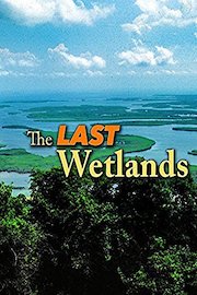 The Last Wetlands