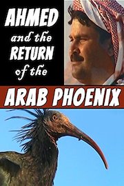 Ahmed and the Return of the Arab Phoenix