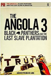 Angola 3 - Black Panthers And The Last Slave Plantation