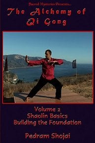 The Alchemy Of Qi-Gong With Pedram Shojai Part Two Shaolin Basics