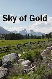 Sky of Gold on Video