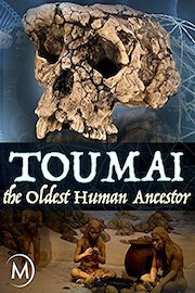 Toumai, the Oldest Human Ancestor