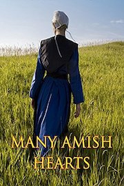 Many Amish Hearts