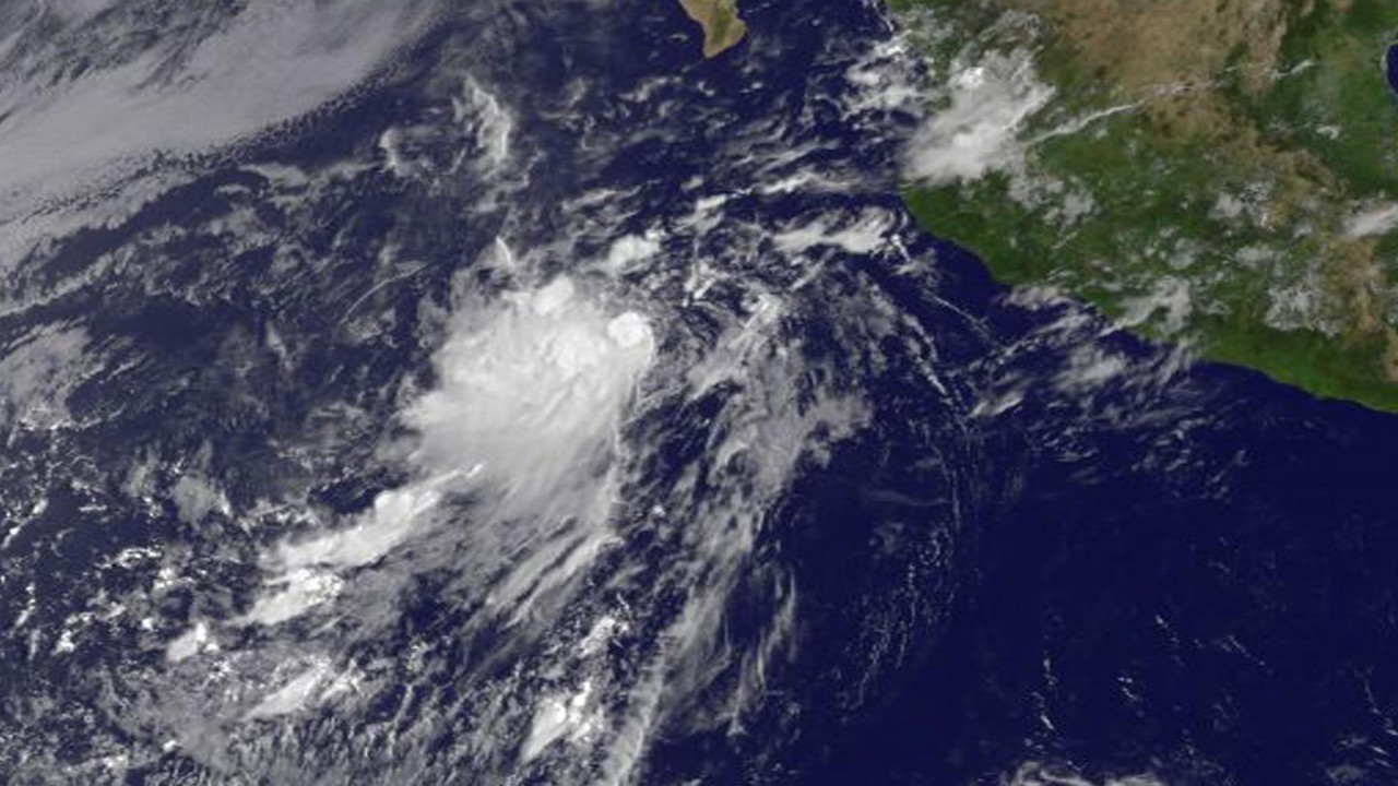 Wind & Weather Forecasting