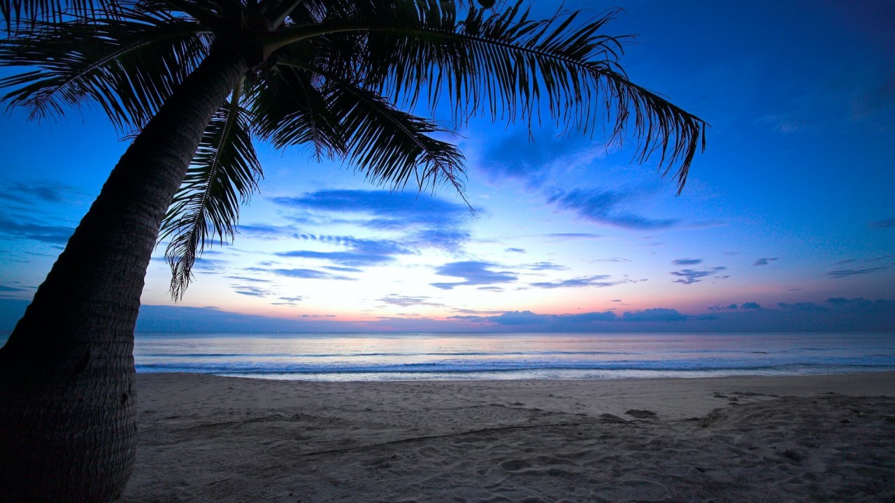 Caribbean nature beaches and sunsets