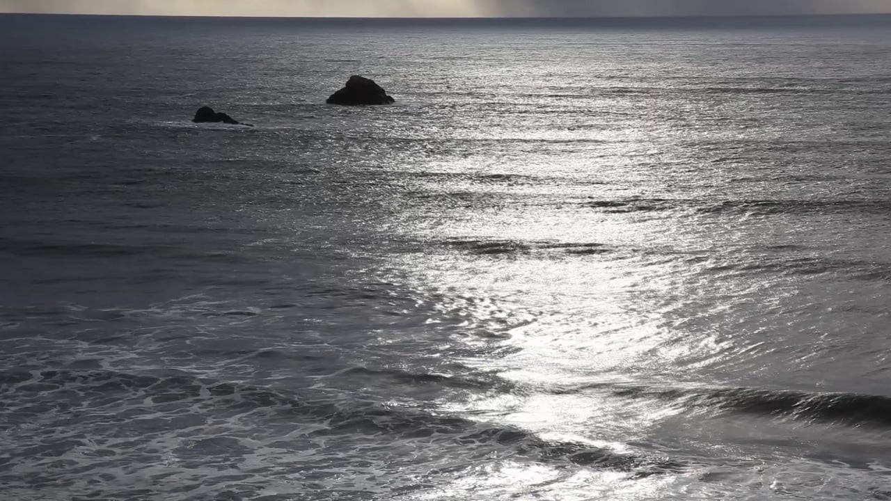 What The Sea Gives Me