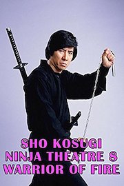 Sho Kosugi Ninja Theater Vol.8 Warrior On Fire