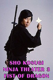 Sho Kosugi Ninja Theater Vol.3 Fist Of Dragon