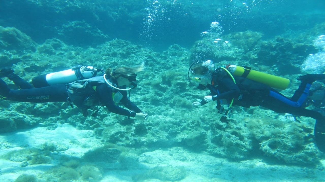 Scuba Divers Having Fun Underwater 8 Hour Ambient Video for Sleeping and Relaxing with Underwater Sounds