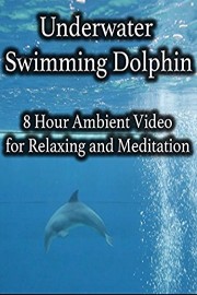 Underwater Swimming Dolphin 8 Hour Ambient Video for Relaxing and Meditation