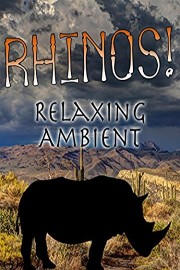 Rhinos Relaxing Ambient