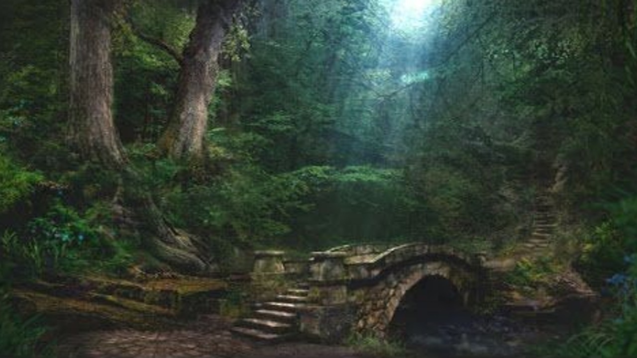 Crickets, 10 hours for Sleep and Meditation, dark screen