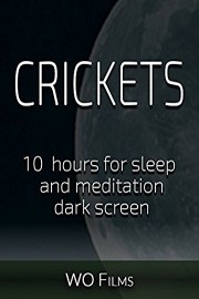 Crickets, 10 hours for Sleep and Meditation, dark screen