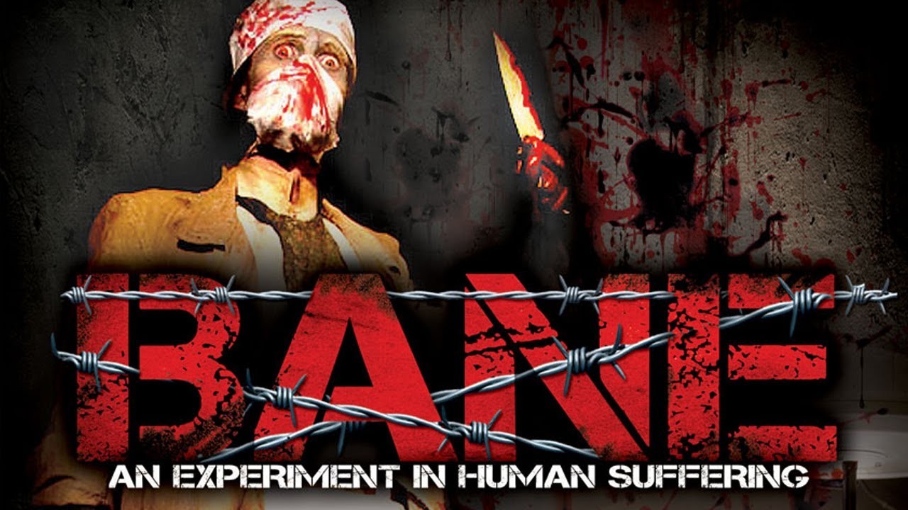 Bane - An Experiment in Human Suffering